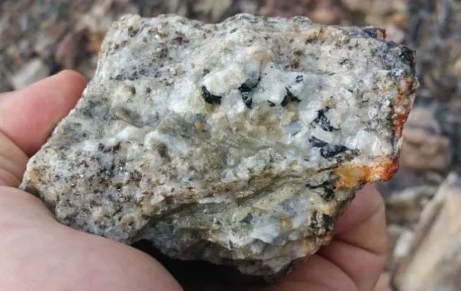 Mineral en bruto, concentrado, relaves, pruebas e identificación de minerales desconocidos